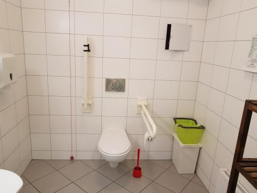 Rollstuhl-WC