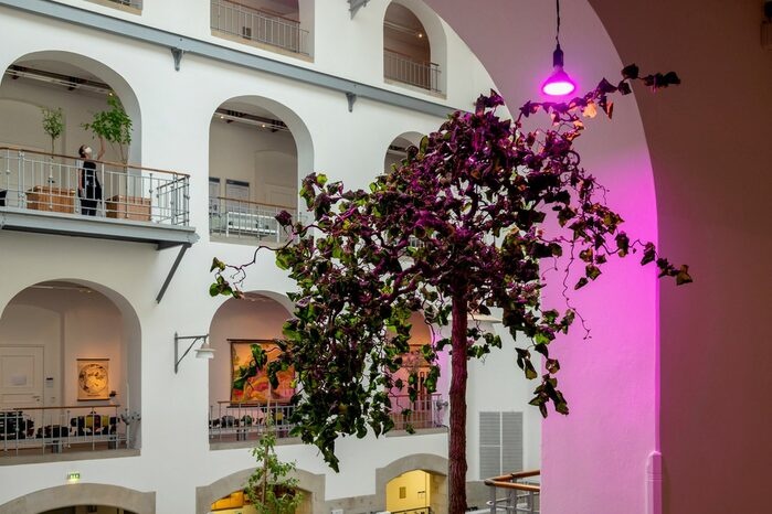 Violett beleuchtete Bauminstallation mit Blick über den Innenhof des Ausstellungsgebäudes auf weitere Kunstwerke, Gemälde und bodenwissenschaftliche Lehrobjekte in der Ausstellung