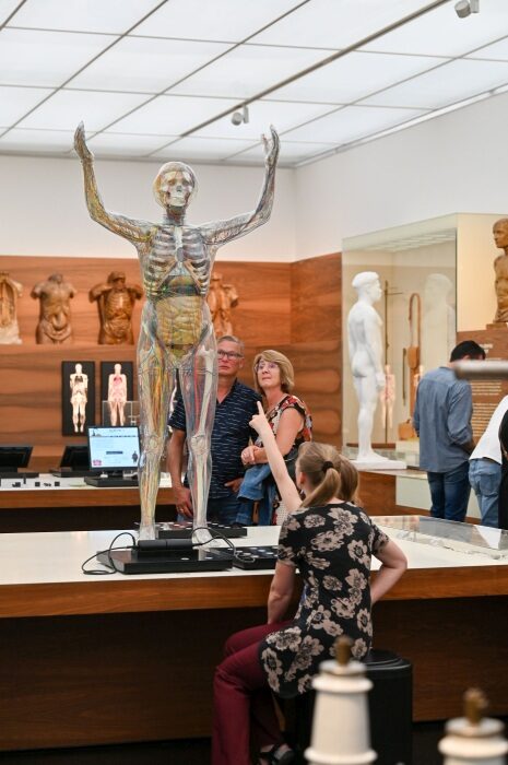 Besucher:innen betrachten das Modell des menschlichen Körpers in der Dauerausstellung Abenteuer Mensch