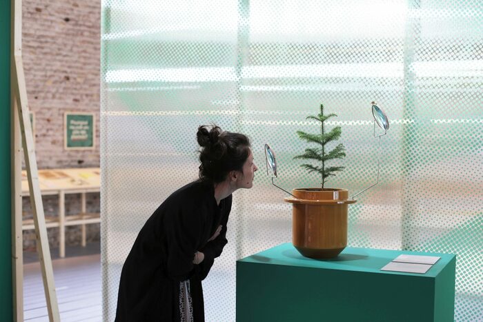 Besucherin betrachtet die Bestandteile einer Pflanze unter der Lupe